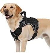 Tactical Dog Harness for Large Dogs — collection imagery
