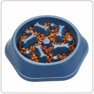 Slow Feeder Dog Bowl — Anti-Chocking Slower Feeding Pet Puzzle Bowls — collection imagery