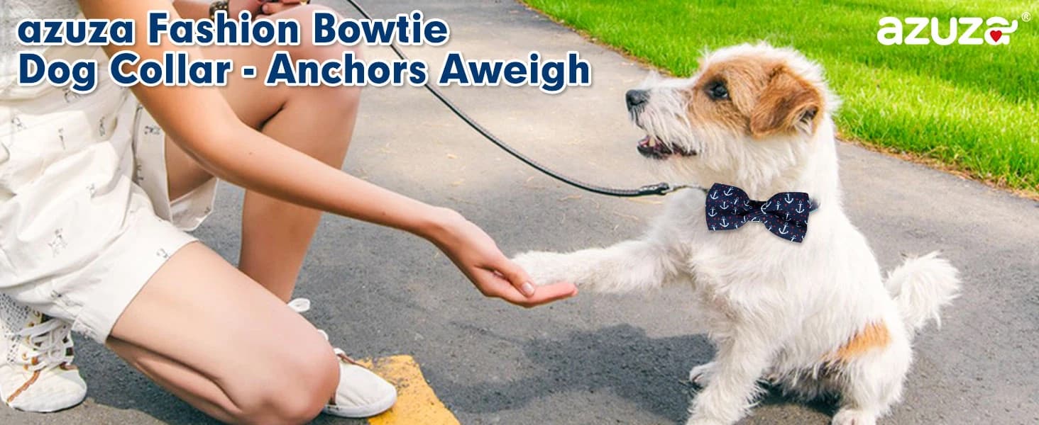 Anchor Dog Collar with Bow Tie — product details