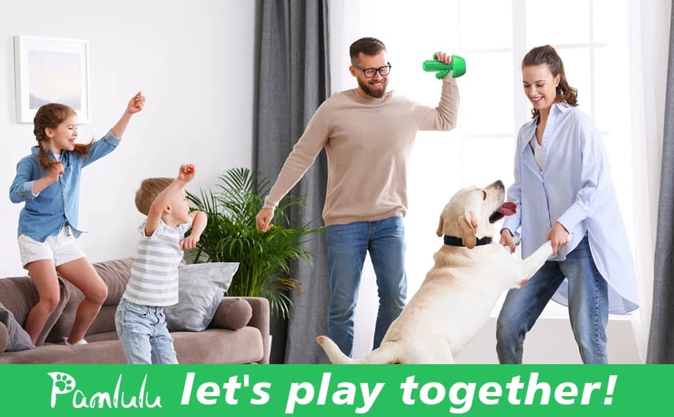 Cactus Dog Chew Toy for Aggressive Chewers — product details