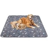 Washable Pee Pad for Dogs — 2 Pack Large Reusable Puppy Pads — collection imagery