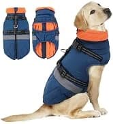 Reversible Dog Winter Coat — Dog Jacket for Small — collection imagery