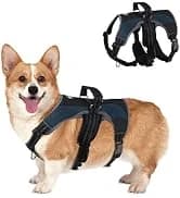 Cable Knit Turtleneck Dog Sweater with Leash Opening — collection imagery