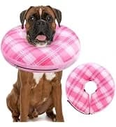 Dog Leash for Large Dogs — 5FT Heavy Duty Rope Leash Bulk — collection imagery