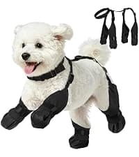 Dog Shoes for Large Medium Dogs — Dog Boots for Hot Pavement Size6 — collection imagery