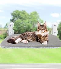 Foldable Cat Window Perch — Large Suction Cup Kitty Hammock — collection imagery