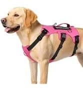 Tactical Dog Harness for Large Dogs — collection imagery
