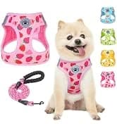 Dog Leash for Large Dogs — 5FT Heavy Duty Rope Leash Bulk — collection imagery