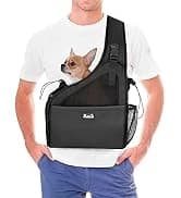 Small Dog Harness and Leash Set — collection imagery