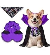 Tactical Dog Harness for Large Dogs — collection imagery