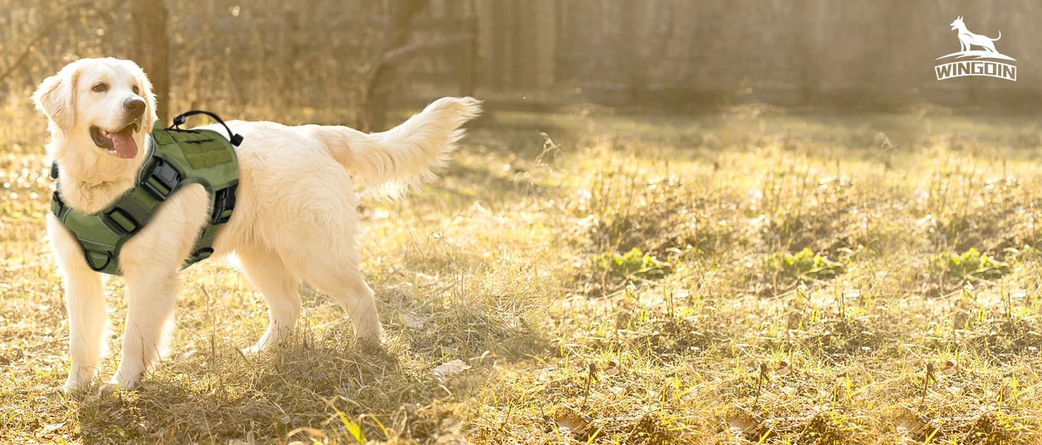 Tactical Dog Harness for Large Dogs — collection imagery