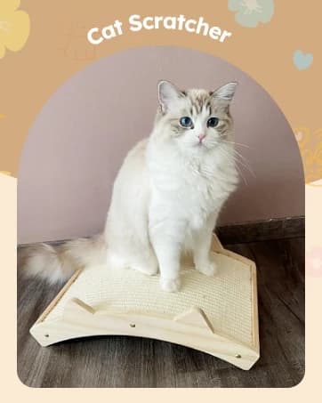 2-in-1 Cat Window Perch and Wall Shelves — collection imagery