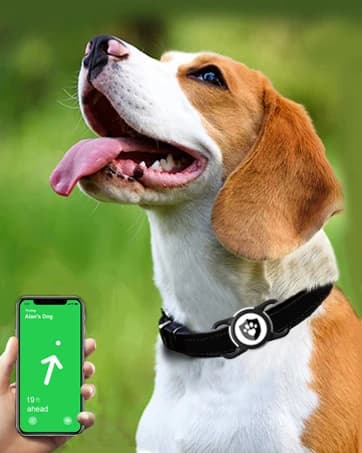 Waterproof Airtag Dog Collar Holder for Apple Air Tag — collection imagery