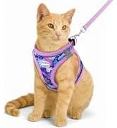 Cat Harness and Leash Set — Escape Proof Soft Vest Walk Pink XS — collection imagery