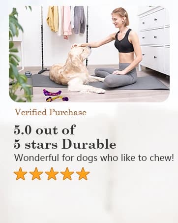 Tough Dog Toys for Aggressive Chewers 3 Pack — Indestructible Dog Toys for Large Dogs — collection imagery