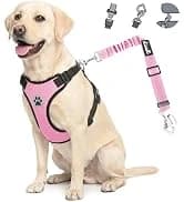 Small Dog Harness and Leash Set — collection imagery