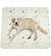 Washable Pee Pad for Dogs — 2 Pack Large Reusable Puppy Pads — collection imagery