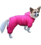 Fleece Dog Jacket for Small Dogs — collection imagery