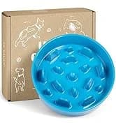 Dog Bowls Slow Feeder Ceramic — 1.5 Cup Slow Feeding Bowl for Small and Medium Breed — collection imagery