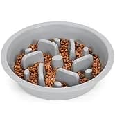Dog Slow Feeder - Reduce Slip Puzzle Bowl for Raised Pet Feeders - Interactive Bloat Stop Elevated Diners — collection imagery