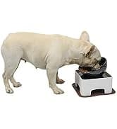 Adjustable Dog and Cat Cone — Soft Recovery Cat Cone Collar — collection imagery