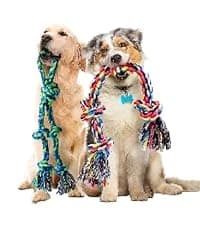 Large Tough Chew Toys for Aggressive Chewers — 9 Pack Dog Rope Toys — collection imagery