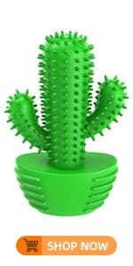Cactus Dog Chew Toy for Aggressive Chewers — product details