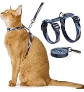 Adjustable Cat Harness and Leash Set — Escape Proof — collection imagery