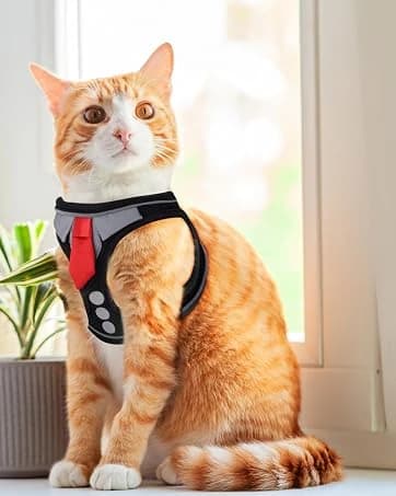 Cat Harness and Leash Set — Escape Proof Soft Vest Walk Pink XS — collection imagery
