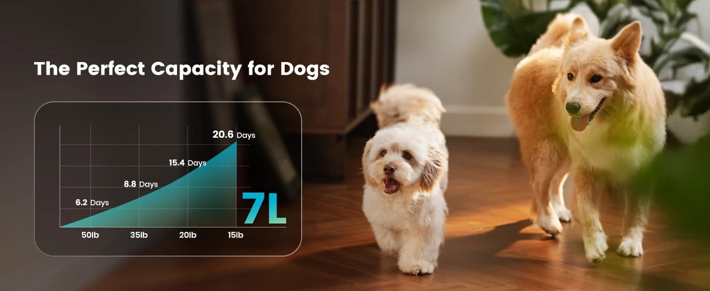 7L/230oz Dog Water Fountain for Multi-pet Household — collection imagery