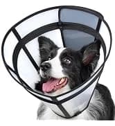 Dog Cone to Stop Licking — Clear Recovery Collar with Detachable Zipper — collection imagery