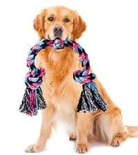 Large Tough Chew Toys for Aggressive Chewers — 9 Pack Dog Rope Toys — collection imagery