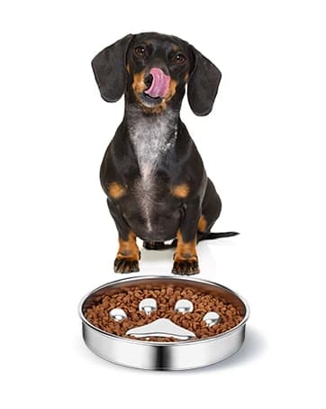 Slow Feeder Dog Bowl Stainless Steel — Metal Non-Slip Dog Food Bowls — collection imagery