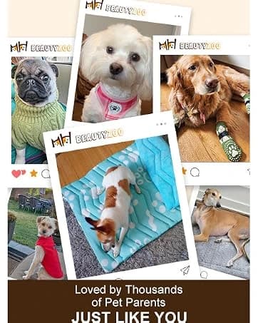 Dog Leash for Large Dogs — 5FT Heavy Duty Rope Leash Bulk — collection imagery