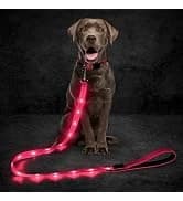 Waterproof Dog Raincoats - Hooded Raincoats for Dogs — collection imagery