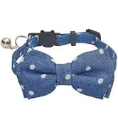 Leather Cat Collar with Bell Breakaway- Adjustable — collection imagery