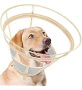 Dog Cone to Stop Licking — Clear Recovery Collar with Detachable Zipper — collection imagery