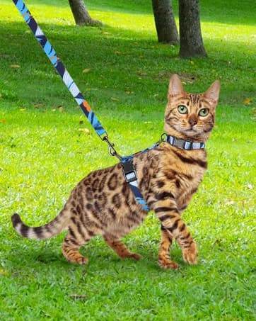 Cat Harness and Leash Set — Escape Proof Cat Harnesses — collection imagery