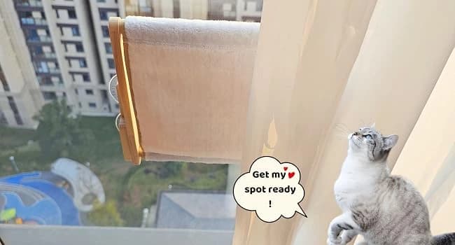 Foldable Cat Window Perch — Natural Wood — Easy to fold and unfold