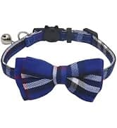 Leather Cat Collar with Bell Breakaway- Adjustable — collection imagery