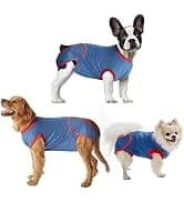 Reusable Washable Pee Pads for Dogs Large/Extra Large 36'' x 41'' 2 Pack — Absorbent Pet Puppy Dog Training — collection imagery