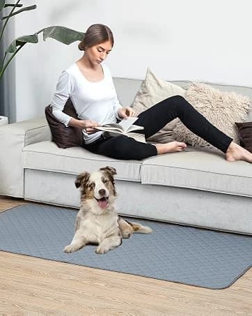 Reusable Washable Pee Pads for Dogs Large/Extra Large 36'' x 41'' 2 Pack — Absorbent Pet Puppy Dog Training — collection imagery