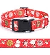 2 Pack Dog Leash — Heavy Duty Nylon Rope Pet Leashes — collection imagery