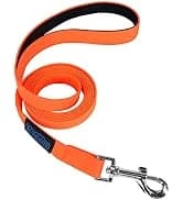 Floating Long Dog Leash — 20ft Dog Training Leash for Swimming and Lake — collection imagery