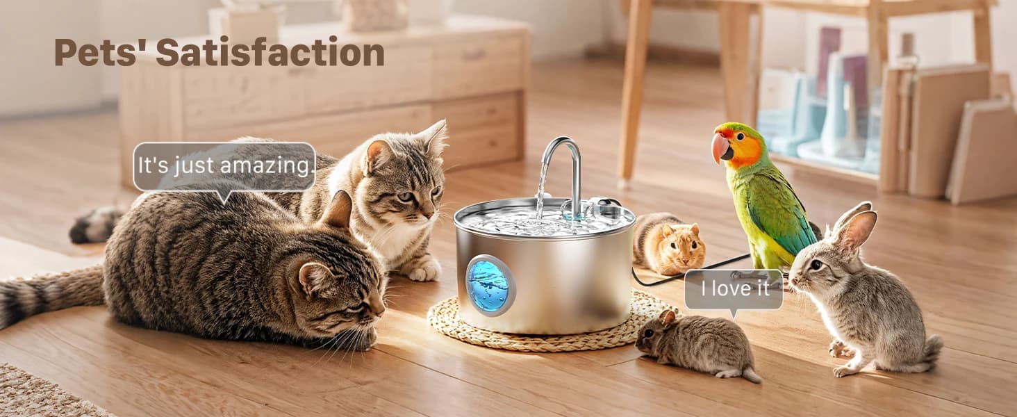 Cat Water Fountain Stainless Steel: 74oz/2.2L Cat Fountain for Drinking — product details