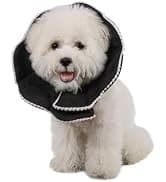 Adjustable Dog and Cat Cone — Soft Recovery Cat Cone Collar — collection imagery