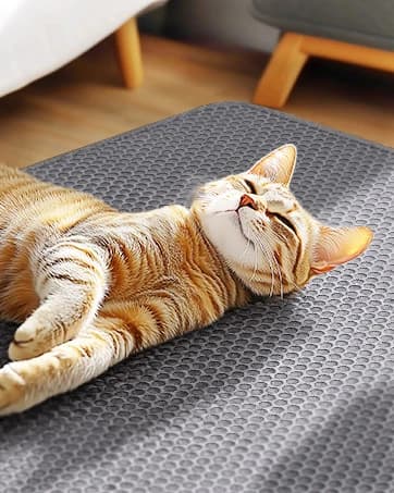 Cat Litter Mat 47" x 35" XL — Washable Urine-Proof Non-Slip Gray — collection imagery