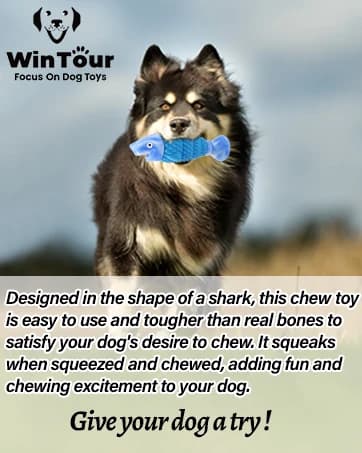 Tough Dog Toys for Aggressive Chewers — Indestructible Dog Chew Toys — collection imagery