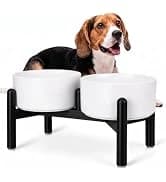 Elevated Slow Feeder Dog Bowl — collection imagery