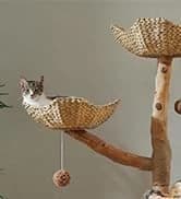 Cat Tunnel S Shape Cat Tunnels for Large and Indoor Cats 51”Long — collection imagery